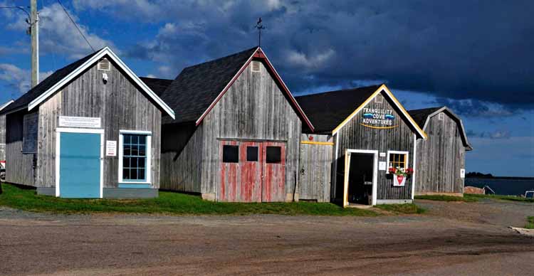 harbor scene with sheds